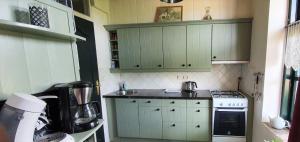 a small kitchen with green cabinets and a stove at Droomboerderijtje in Merselo