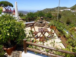 特罗尔La Casa de Arriba, private rooms in Teror, Gran Canaria的带桌椅和植物的露台