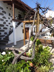 特罗尔La Casa de Arriba, private rooms in Teror, Gran Canaria的房屋前的树枝