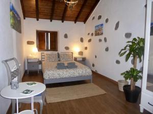 特罗尔La Casa de Arriba, private rooms in Teror, Gran Canaria的一间卧室配有一张床、一张桌子和盆栽植物