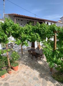 La Casa de Arriba, private rooms in Teror, Gran Canaria外面的花园