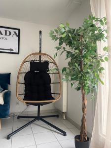 a black chair in a room with a plant at l'arc logement in Strasbourg