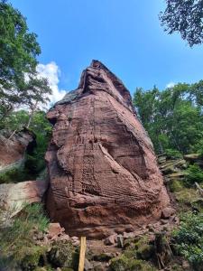 ein großer Fels mit einem Tier, in den er geschnitzt ist. in der Unterkunft Ferienwohnung Jungpfalzstieg in Rinnthal