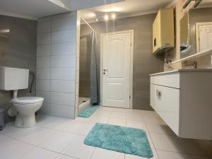 a bathroom with a toilet and a walk in shower at Apartments Suzi Crikvenica in Crikvenica