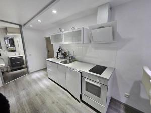 a white kitchen with a sink and a stove at Luxurious Apartment in Mainz in Mainz