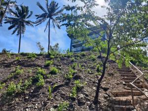 una casa su una collina con palme di Azure Ocean View Villa a Puerto Galera