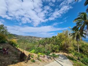 une route menant à l'océan avec des palmiers dans l'établissement Azure Ocean View Villa, à Puerto Galera
