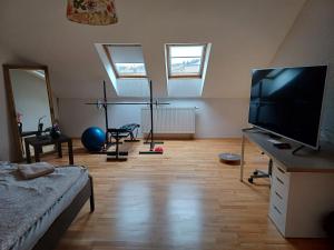 TV a/nebo společenská místnost v ubytování Apartmán Dvořák 194 pod Svatou horou