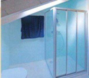 un bagno con doccia in vetro e WC di Rustico sopra Brissago a Brissago