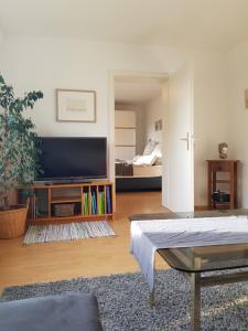 a living room with a flat screen tv and a bedroom at Ferienwohnung 'dasBRENNERs' in Groß-Umstadt