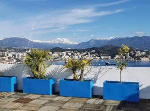 un groupe de palmiers sur un toit plantés de plantes bleues dans l'établissement Penthouse panoramique avec Jacuzzi, à Ajaccio 3 autres photos