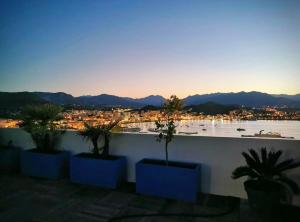 un groupe de plantes en pot installées au-dessus d'un bâtiment dans l'établissement Penthouse panoramique avec Jacuzzi, à Ajaccio