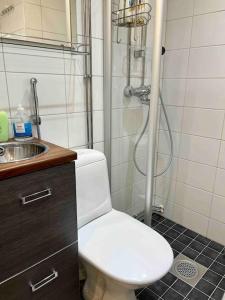 ein Bad mit einer Dusche, einem WC und einem Waschbecken in der Unterkunft Viihtyisä kaksio lähellä keskustaa ja yliopistoa. in Turku