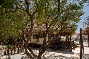 een huis aan het strand met een boom bij Hotel Casa Takywara in Holbox Island