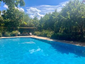 a large blue swimming pool in a yard at Ikweta Safari Camp in Maua