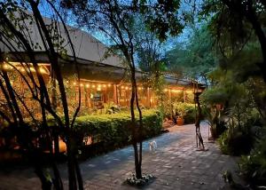 a building with lights in the middle of a garden at Ikweta Safari Camp in Maua