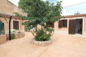 a courtyard with a tree in front of a building at Casa en Establiments in Establiments