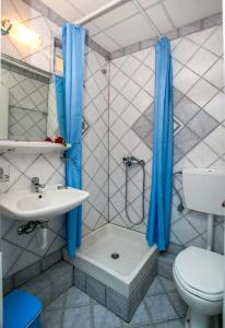 a bathroom with a shower and a toilet and a sink at Astris Beach in Astris