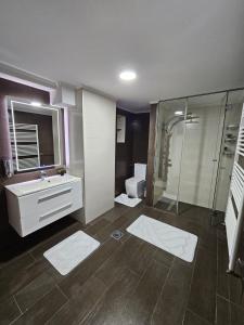 a bathroom with a sink and a shower and a toilet at Apartman Daniela in Sarajevo