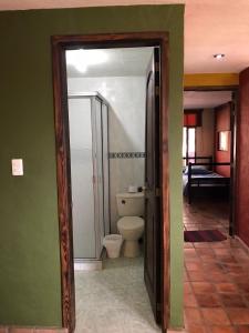 ein Bad mit WC und grünen Wänden in der Unterkunft Cabaña Huitaca in Paipa
