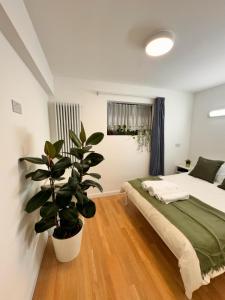 una camera con letto e pianta in vaso di Luxury rooms in cross harbour a Londra
