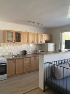 Kuchyň nebo kuchyňský kout v ubytování Apartmán se zahradou v Protivíně č.2