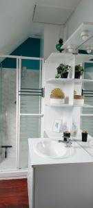 La salle de bains blanche est pourvue d'un lavabo et d'une douche. dans l'établissement Ker Lorance maison spacieuse 7 lits 4 chambres 2 sdb, à Saint-Brieuc