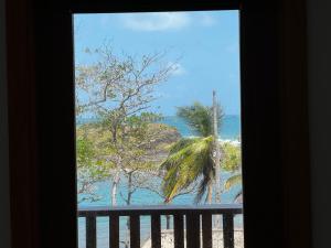 a window view of a beach with a palm tree at Ciel y Miel in Colón