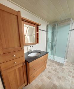 een badkamer met een wastafel en een douche bij Station 64 B2 Charleroi-Airport in Charleroi