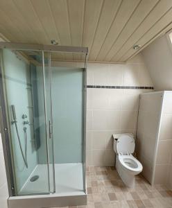 ein Bad mit einer Dusche und einem WC in der Unterkunft Station 64 B2 Charleroi-Airport in Charleroi
