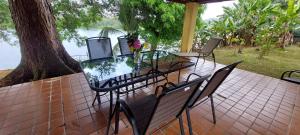 a glass table and chairs on a patio with a tree at Chagres River Lodge 