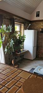 uma cozinha com um frigorífico branco e uma mesa com plantas em Cottage LE NID em Perriers-en-Beauficel