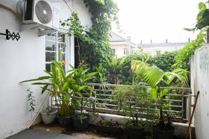 Una ventana con un montón de plantas. en Fanda Home Syariah en Cimanggu