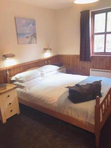 um quarto com 2 camas e uma janela em Dolphin View Cottages 2 em Portmahomack