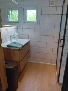 a bathroom with a sink and a window at Glamping aan de Thoolse kust in Poortvliet