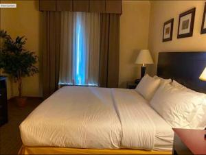 Gallery image of The Arc Hotel in Fort Smith +26 photos