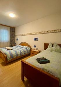 um quarto com duas camas e uma mala na cama em Alessandra em Fusine in Valromana