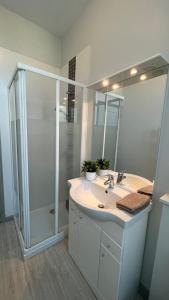 y baño con lavabo blanco y ducha. en Appartement de charme en Bayeux