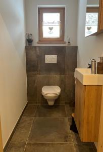 a bathroom with a toilet and a sink and a window at Chalet Schäftal 