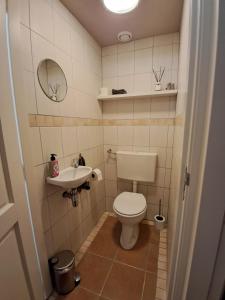 małą łazienkę z toaletą i umywalką w obiekcie Blokhut w mieście Ruinerwold