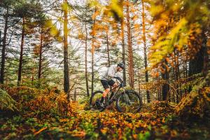 un hombre montando una bicicleta en el bosque en k1 sporthotel en Kurort Oberwiesenthal