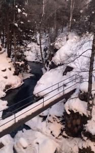 a bridge over a river in a snow covered forest at Apartamento de montaña junto al rio ,pistas de ski y parque natural in Canillo
