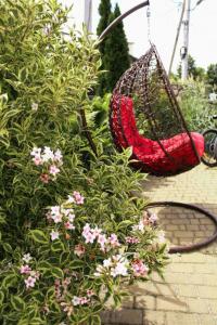 a red swing hanging from a bush with flowers at Hotel Three Korony in Skhidnitsa