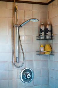 a shower in a bathroom with a sink at Casa Caterina in Moncioni