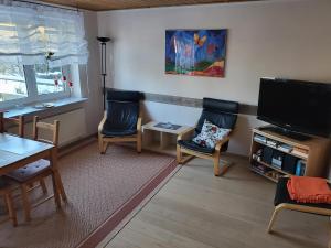 a living room with two chairs and a flat screen tv at Haus am Scharpenmoor in Norderstedt