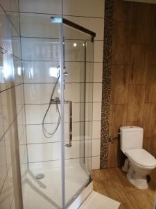 a bathroom with a shower and a toilet at Agroturystyka Szklana Polana in Huta Szklana