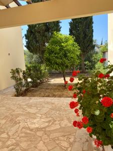 a garden with red flowers and a stone walkway at Villa Lorena Protaras in Protaras