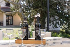 Gallery image of Podere Il Gufo in Tresanti +26 photos