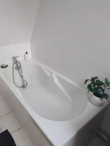 um lavatório branco com uma torneira e uma planta sobre ele em duplex de charme à Dinan em Taden