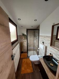 y baño con ducha, aseo y lavamanos. en Ferienhaus Eifel Nature Dream II, en Dockweiler